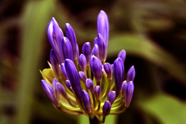 同时通过灵 同时通过灵