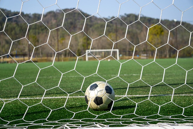 期球迷数量 期球迷数量