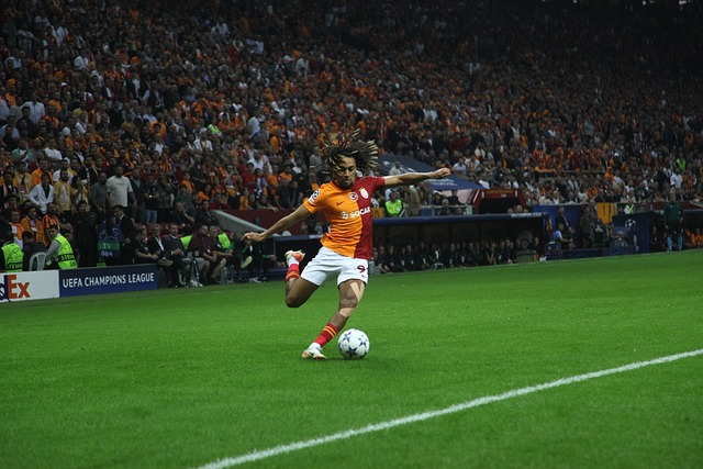 的目光再次 的目光再次