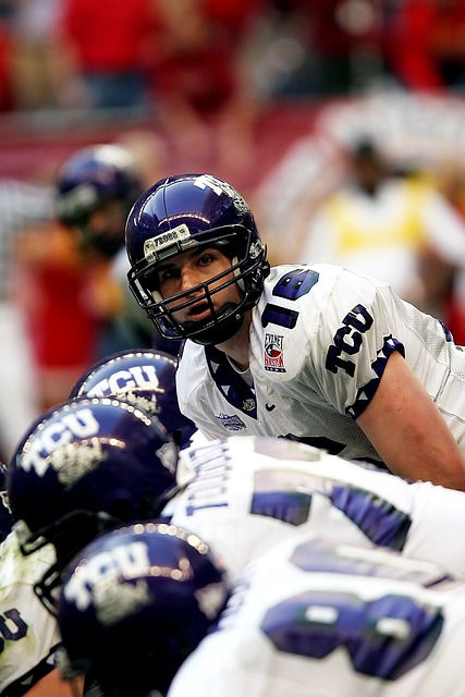 的协作性 的协作性