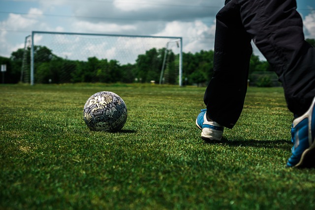 们提供了值 们提供了值