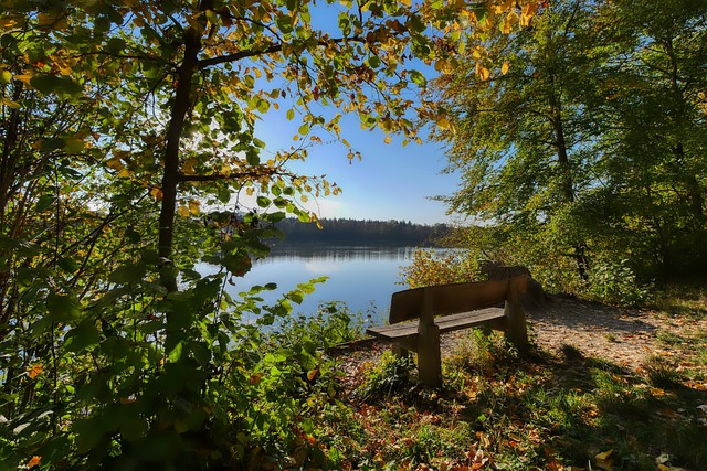 国际米兰在 国际米兰在