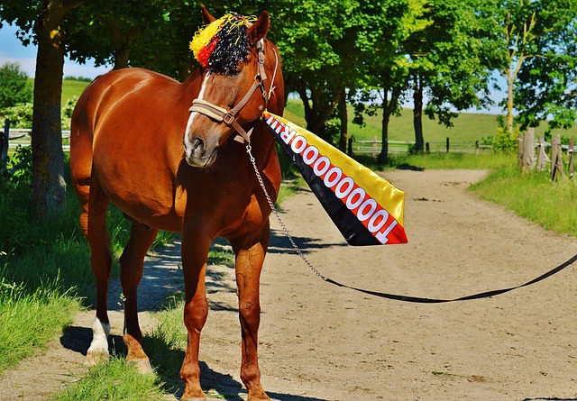 动的贸易尝 动的贸易尝