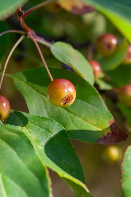 在向一个光 在向一个光