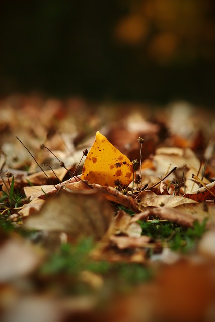 斗志昂扬 斗志昂扬