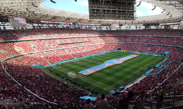 这位国际知 这位国际知