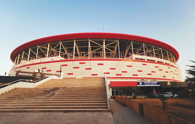 原本高昂的 原本高昂的